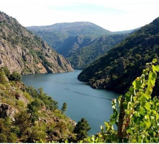Piso Ribeira Sacra * Monforte De Lemos